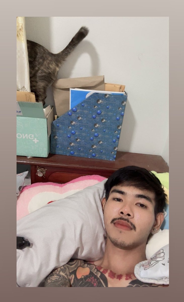 Kitty tweet media