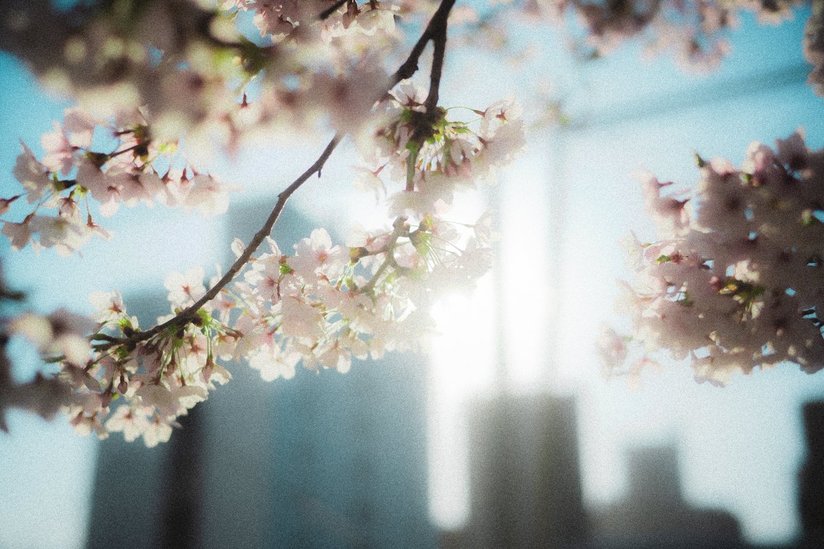 𝚜𝚑𝚒𝚗 tweet media