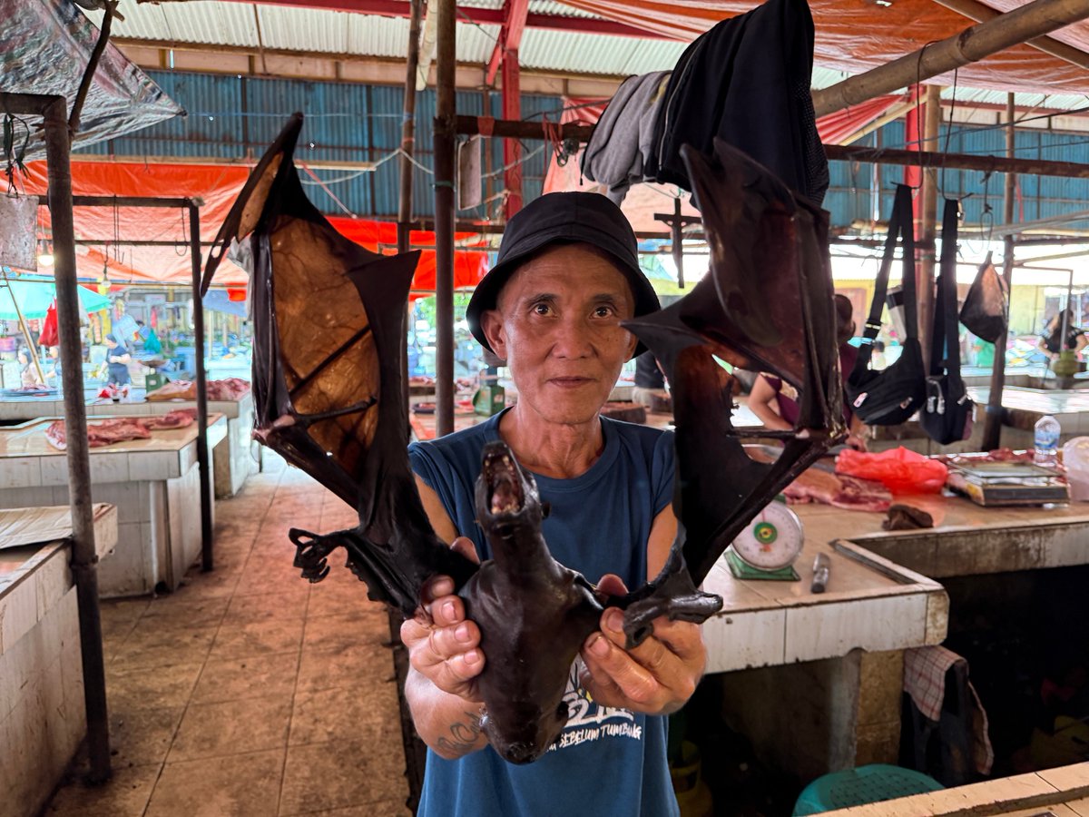 Fatih Koparan tweet media