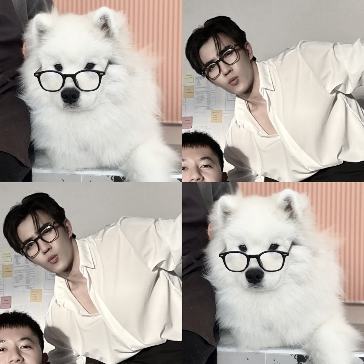 iampang 🍞 tweet media