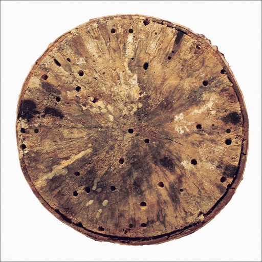 角銅真実 Manami Kakudo Info tweet media