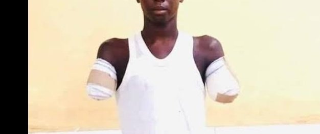 Rose 🌹 Gadget hub tweet media