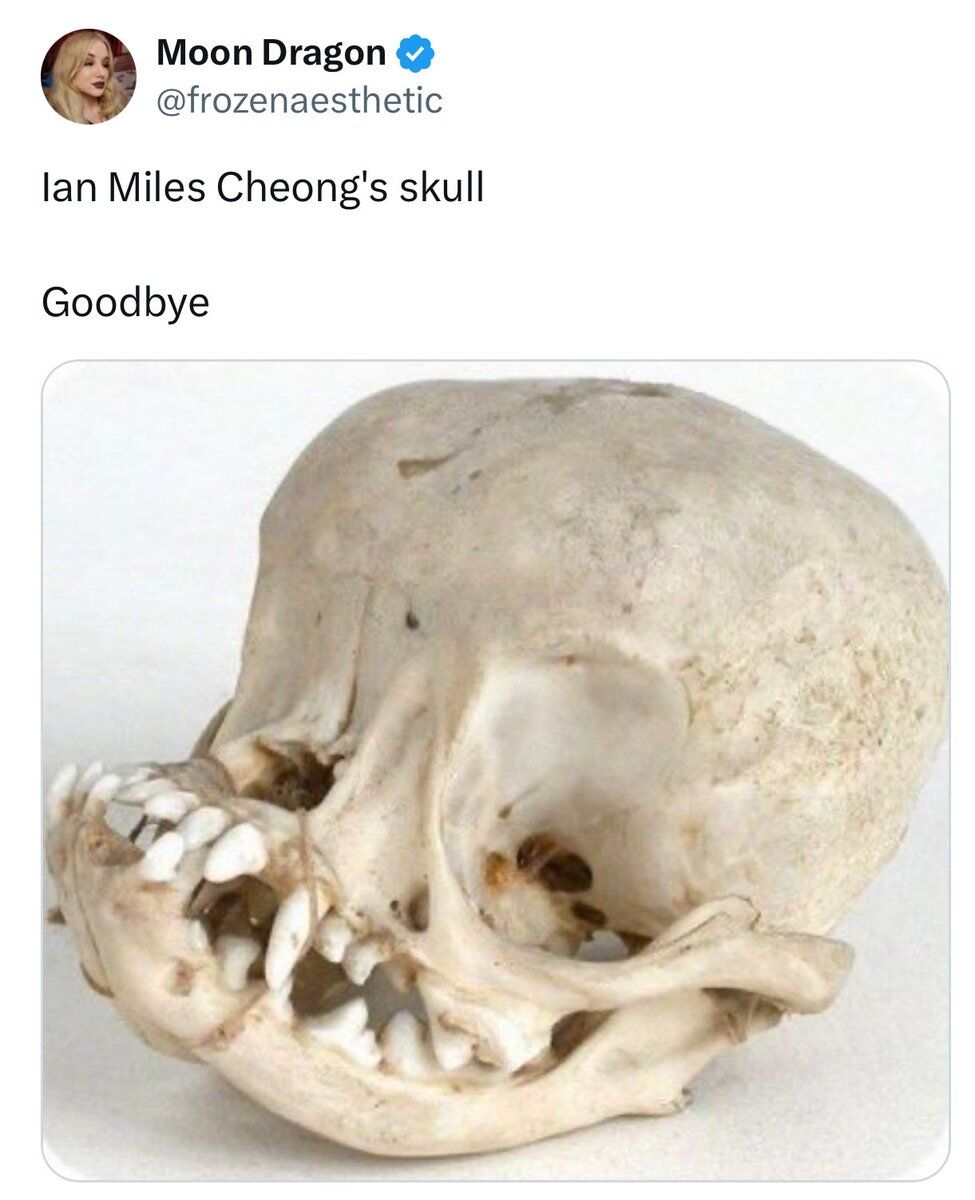 Real Ass Wigger tweet media