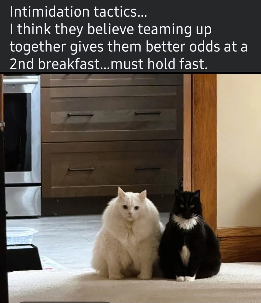 WholesomeMemes tweet media