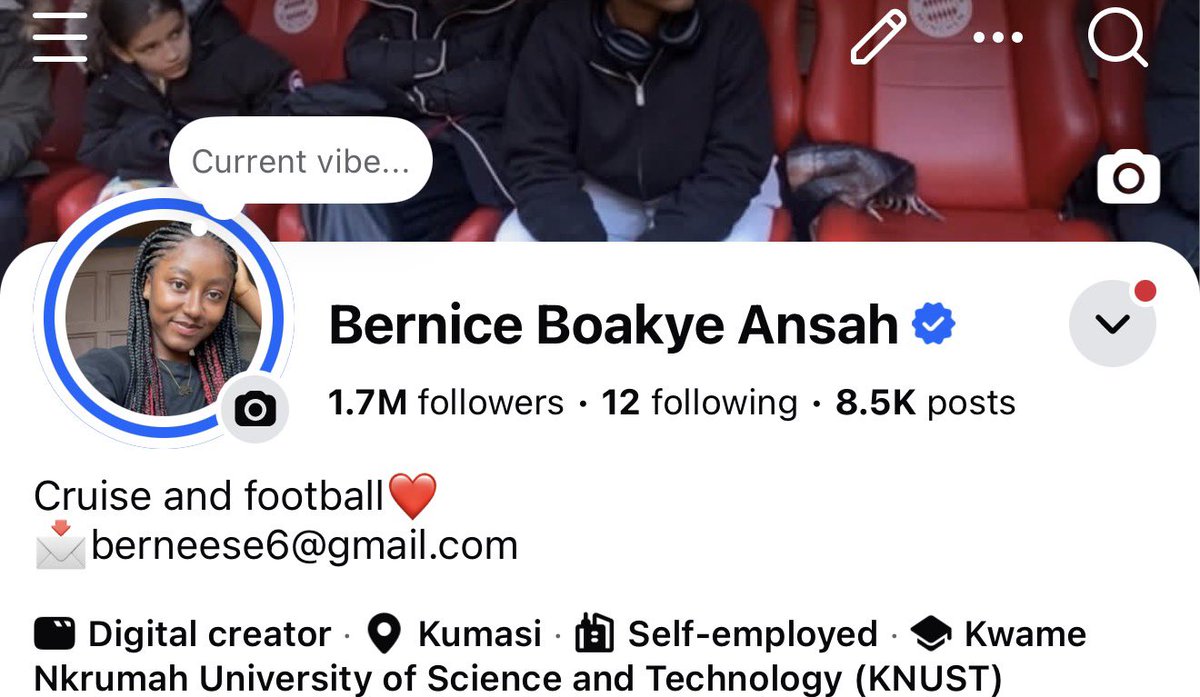 Berneese tweet media