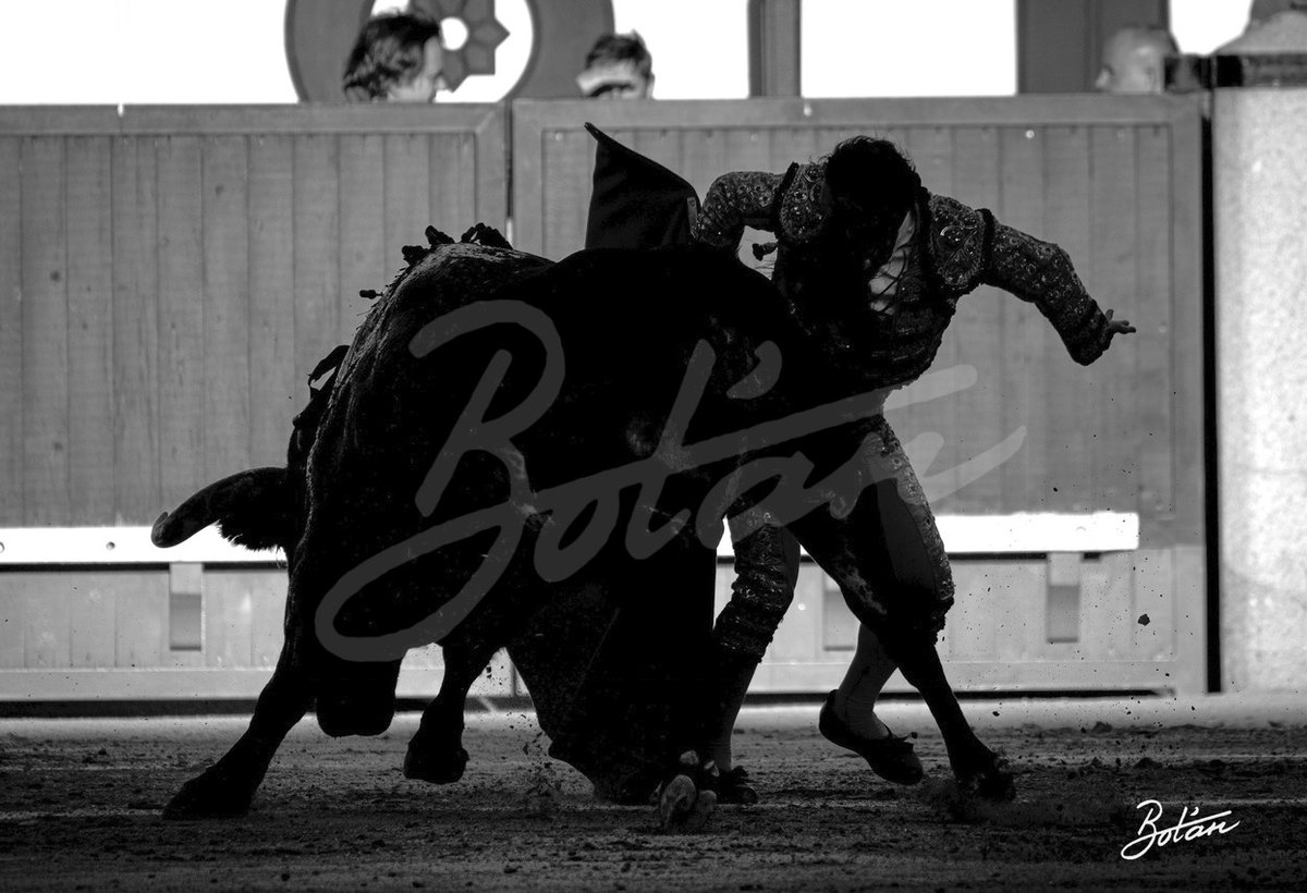 El Pasmo tweet media