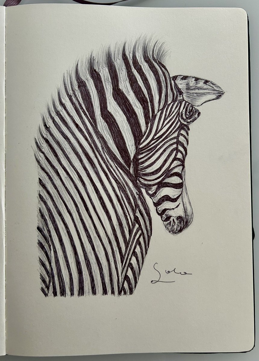 Ballpen Illustrator tweet media