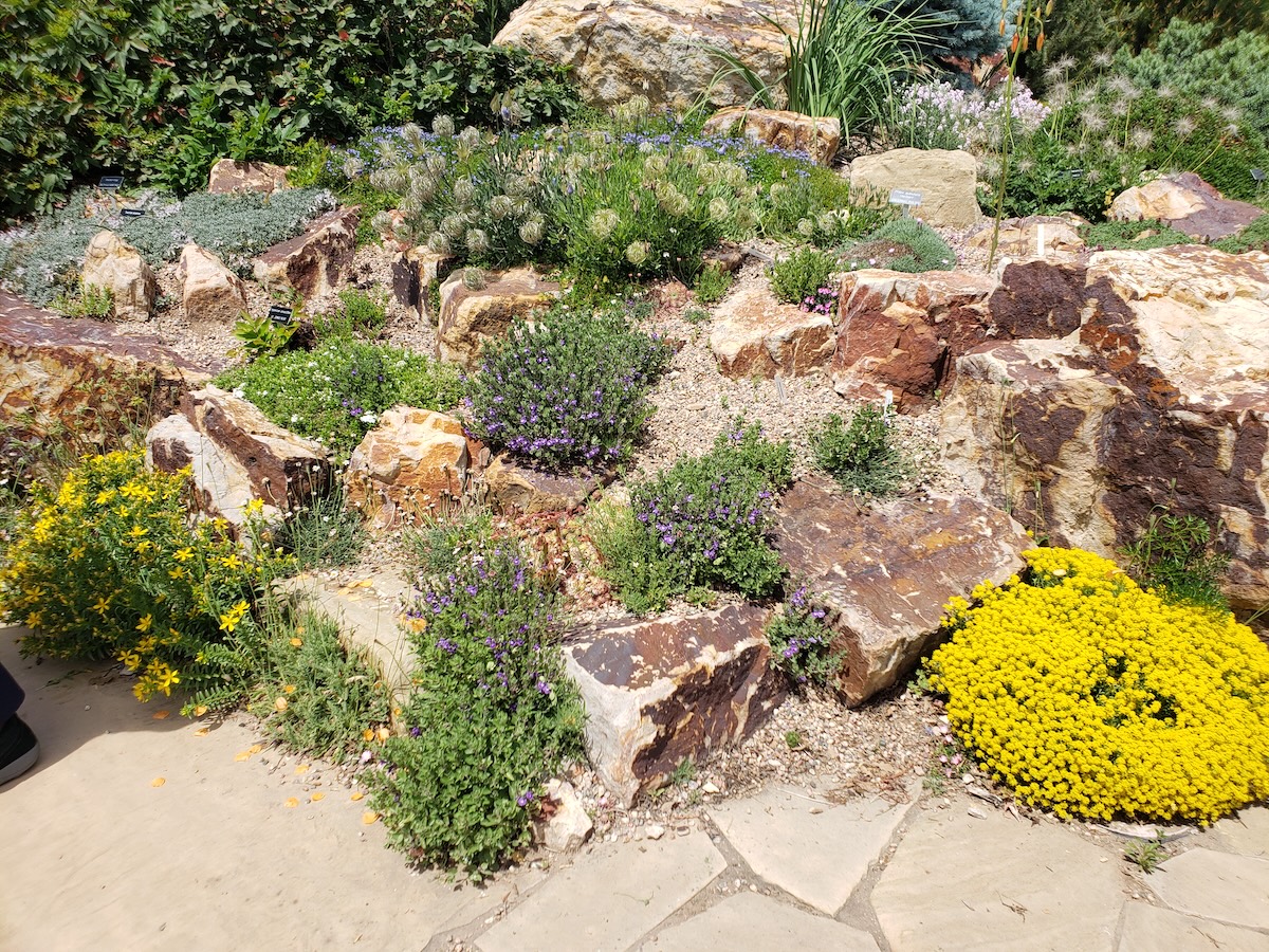 DustinMPeyser's tweet image. Seasoned Gardener Shares Secrets for Using Big Rocks in Your Home Landscape dlvr.it/TRy5MD 👉 Reveal Your ROI bit.ly/MyHomeAI 👈 #Gardening #Landscaping #DIYHome #GardenDesign #RocksInLandscaping