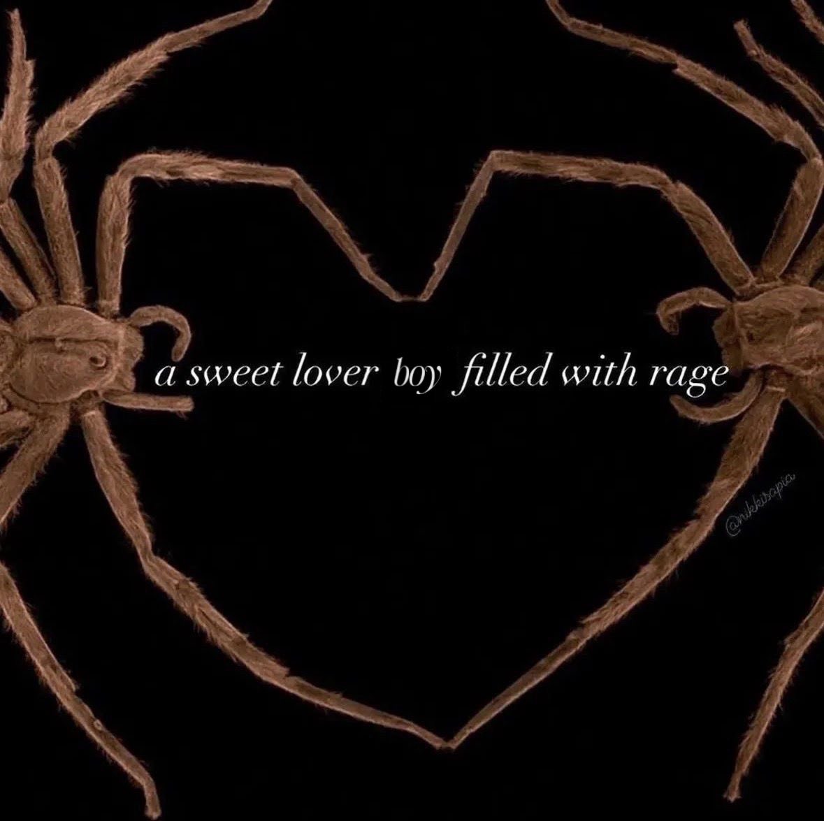 horse denier tweet media