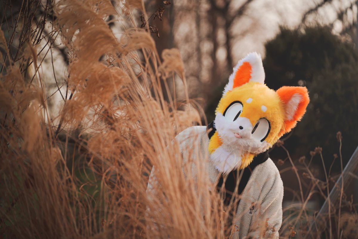 Miwool_'s tweet photo. #FursuitFriday #fursuit #올웨이즈이드유
어디 보고 있는거야 ~ 나 여기 있어! https://t.co/HPKx3k1tyK