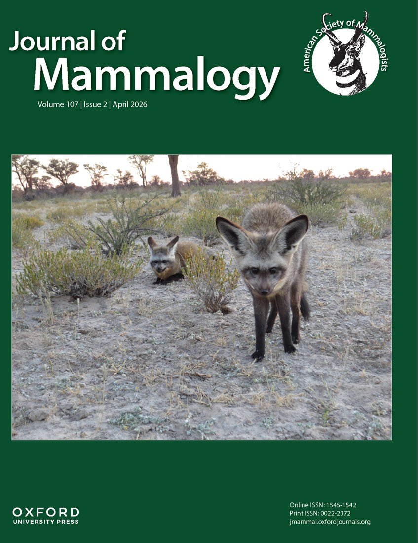 IntlMammalogy tweet media