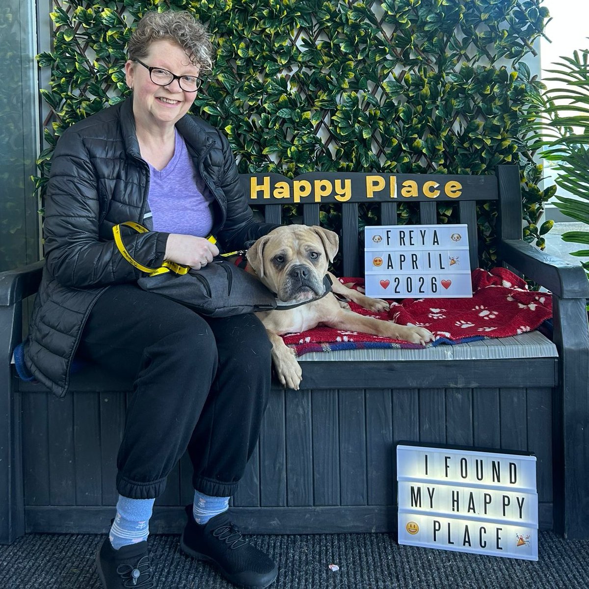 Dogs Trust Leeds tweet media