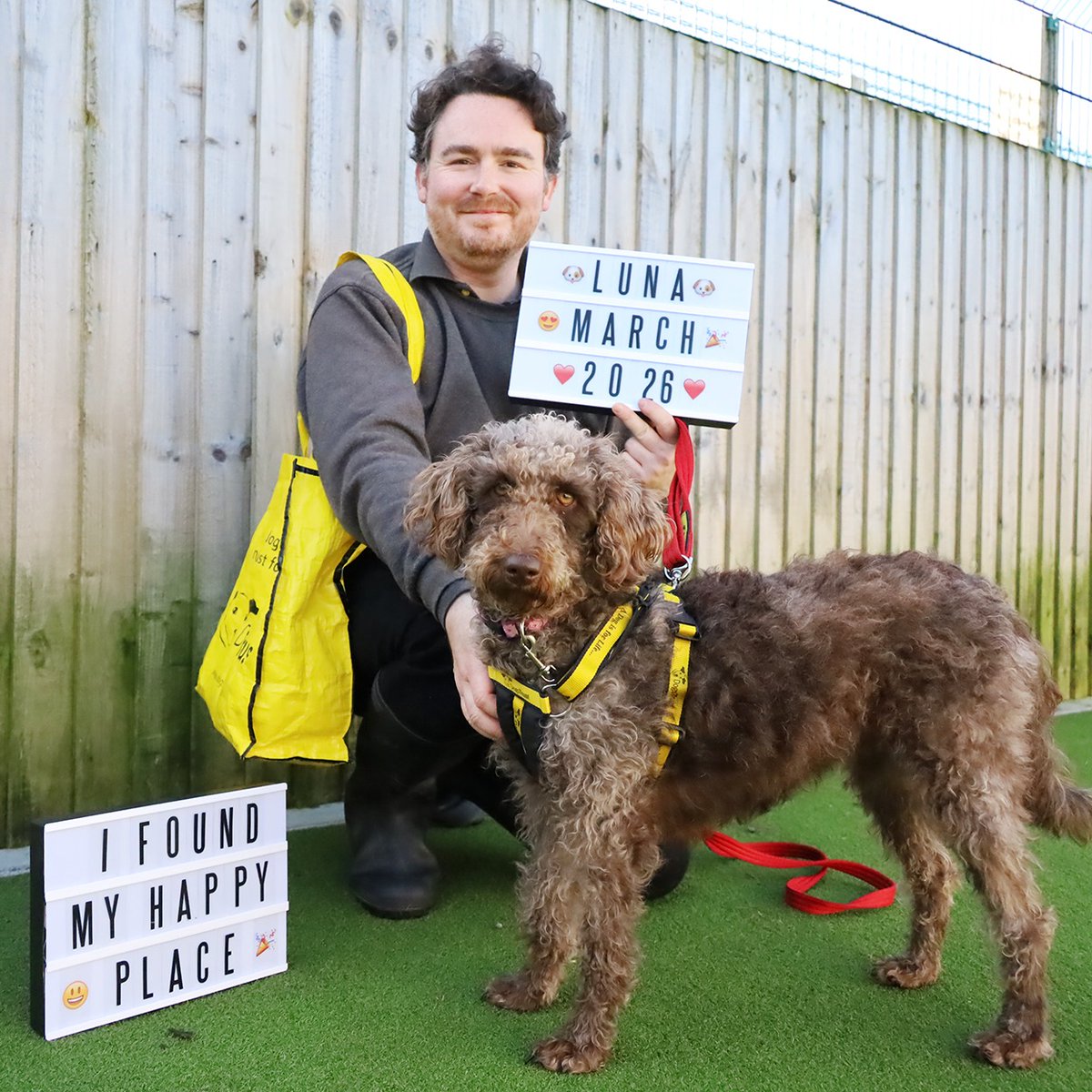 Dogs Trust Leeds tweet media