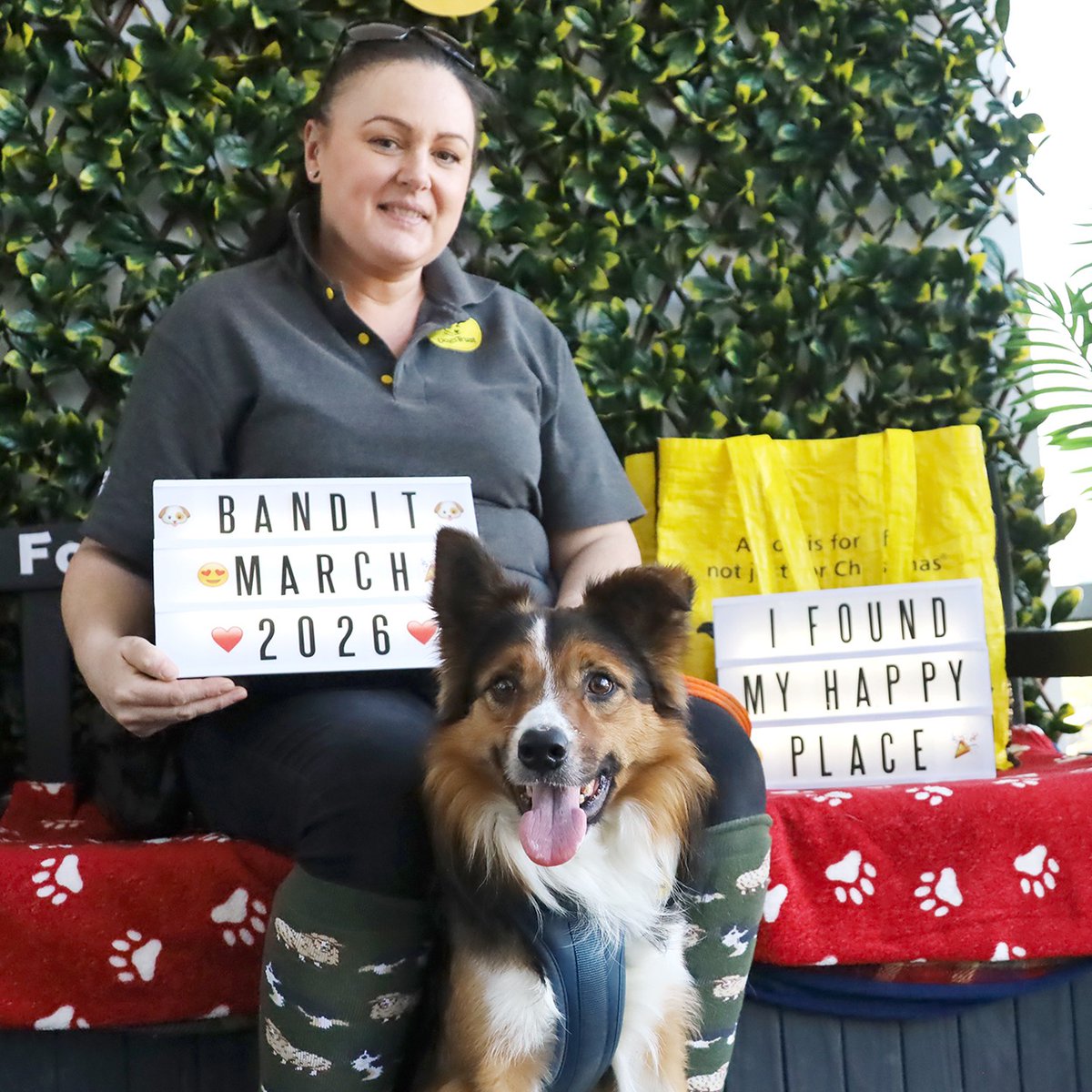 Dogs Trust Leeds tweet media