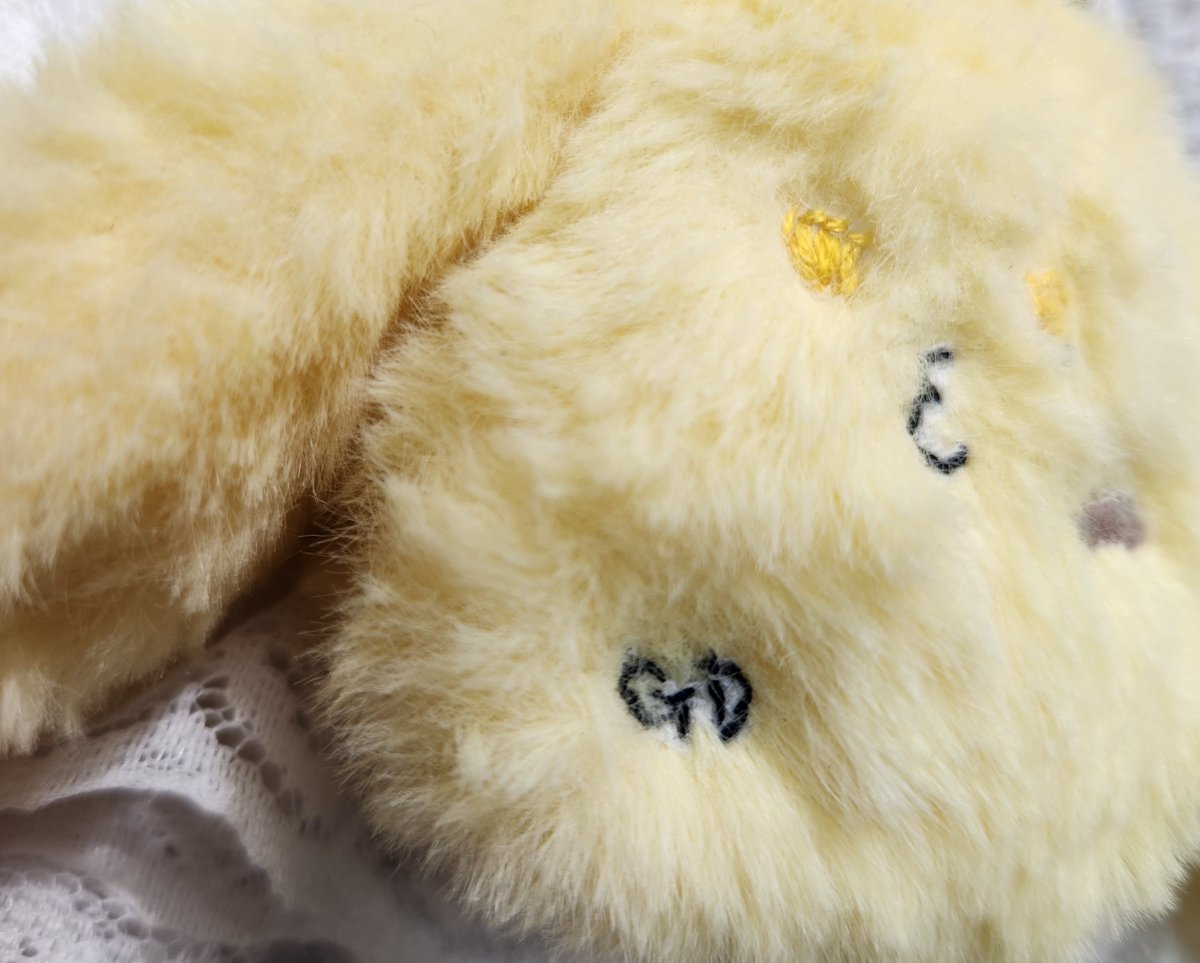 キヌコ@5/5 西2ニ16b tweet media