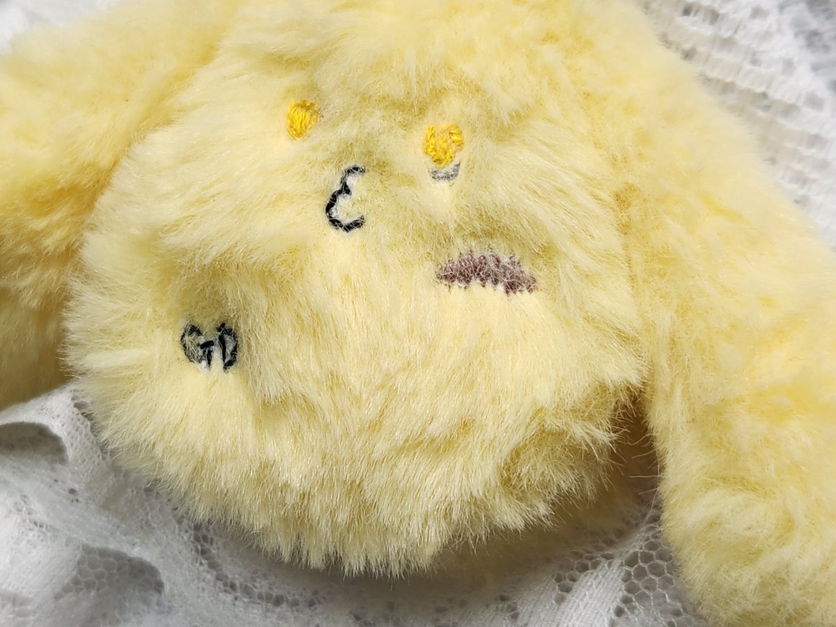 キヌコ@5/5 西2ニ16b tweet media