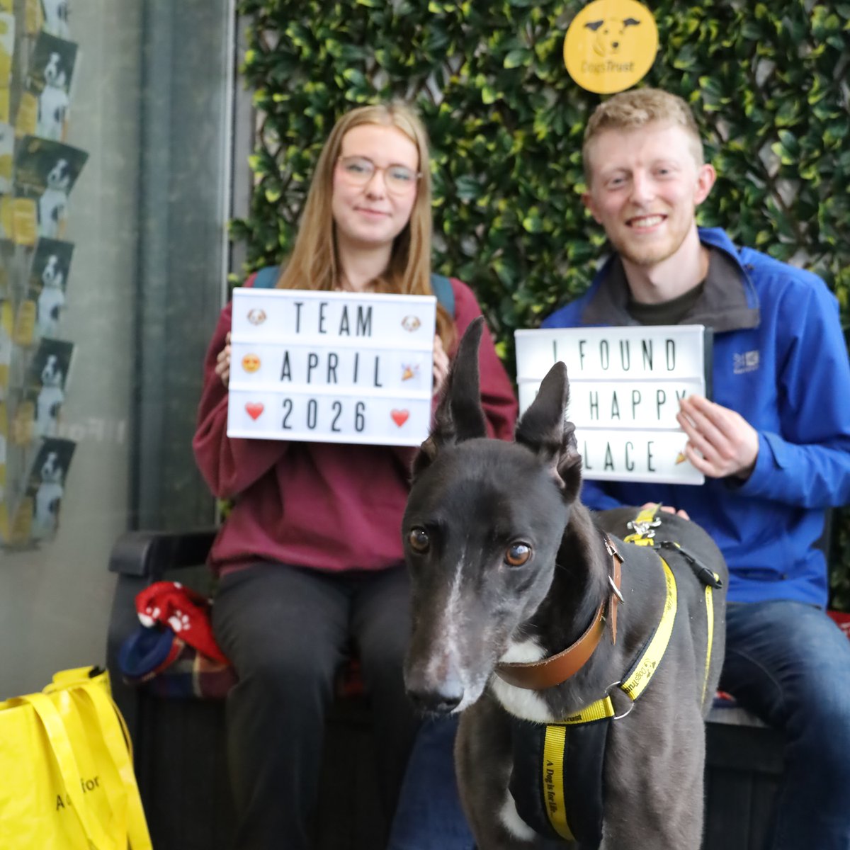 Dogs Trust Leeds tweet media