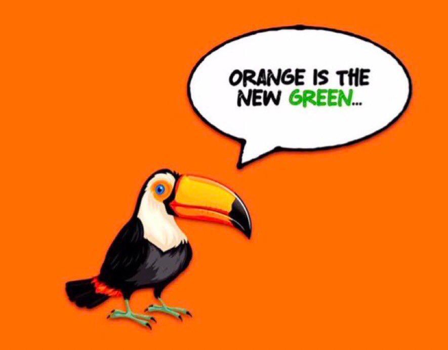 Noemi Luna tweet media