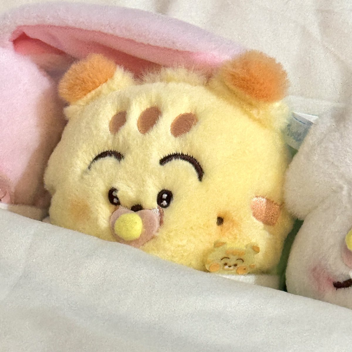 น้องน้วย tweet media