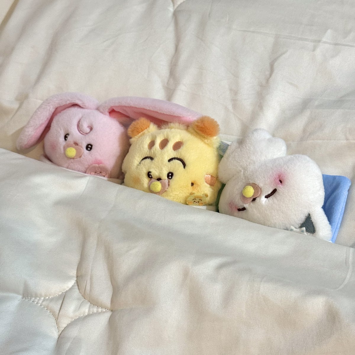 น้องน้วย tweet media