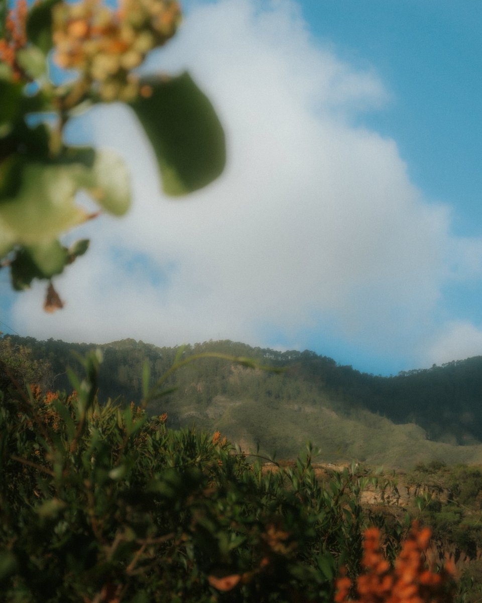 Gariraygua tweet media