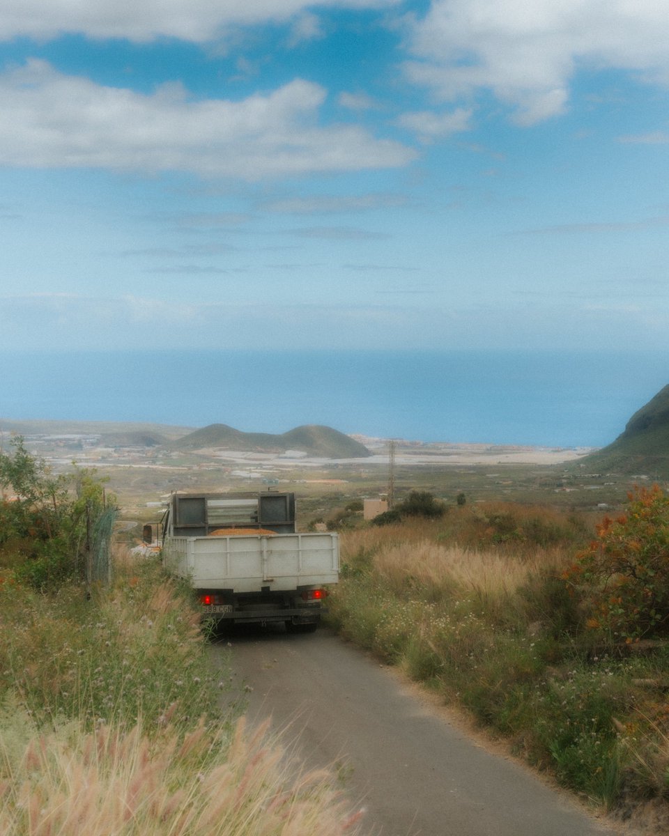 Gariraygua tweet media