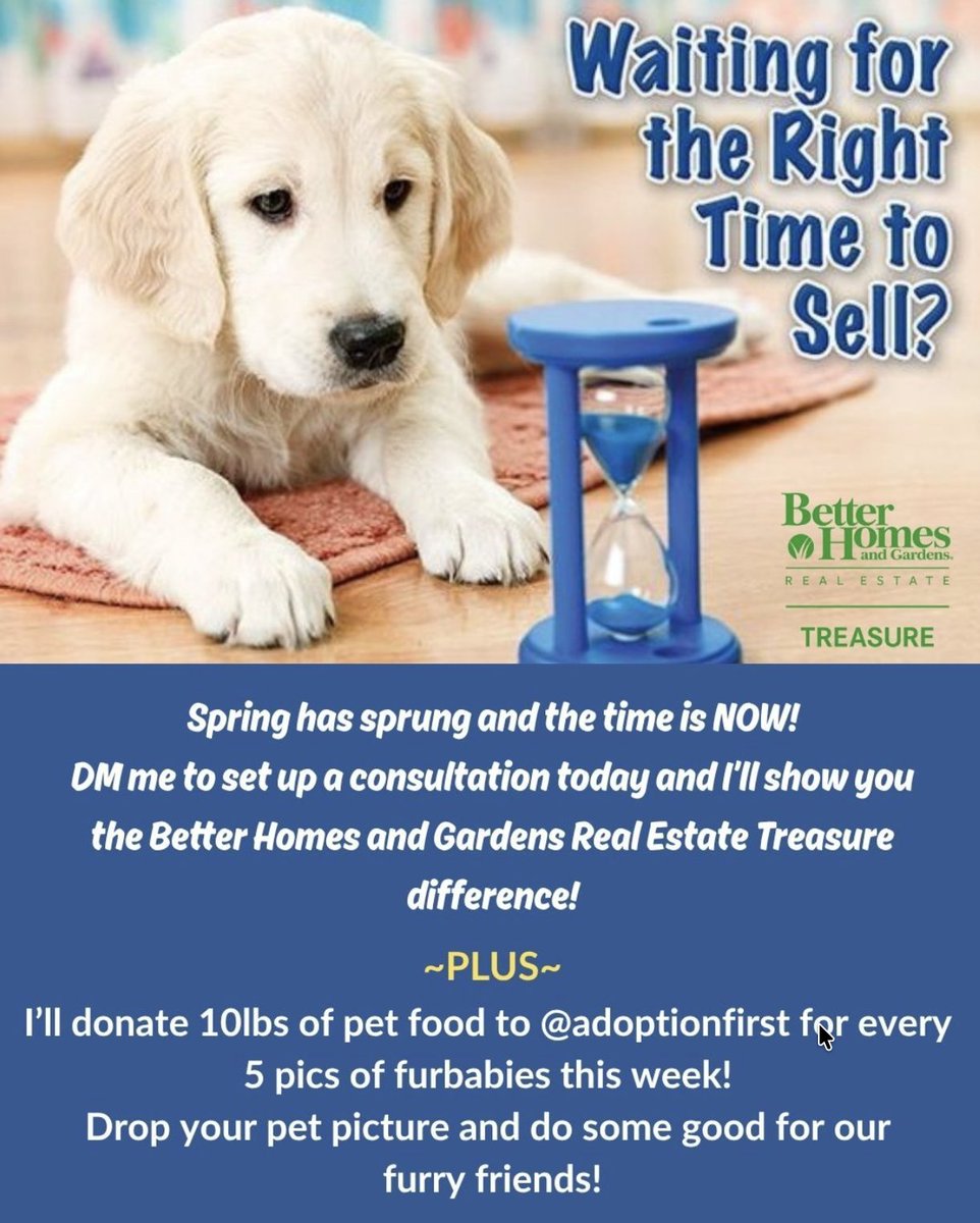 Better Homes and Gardens Real Estate Treasure tweet media