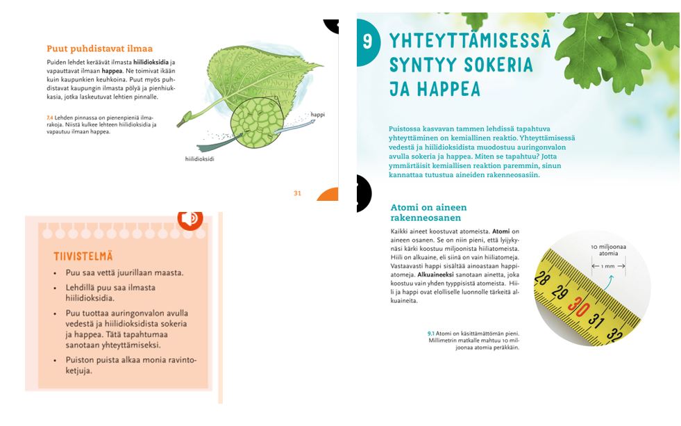 fanni rohde tweet media