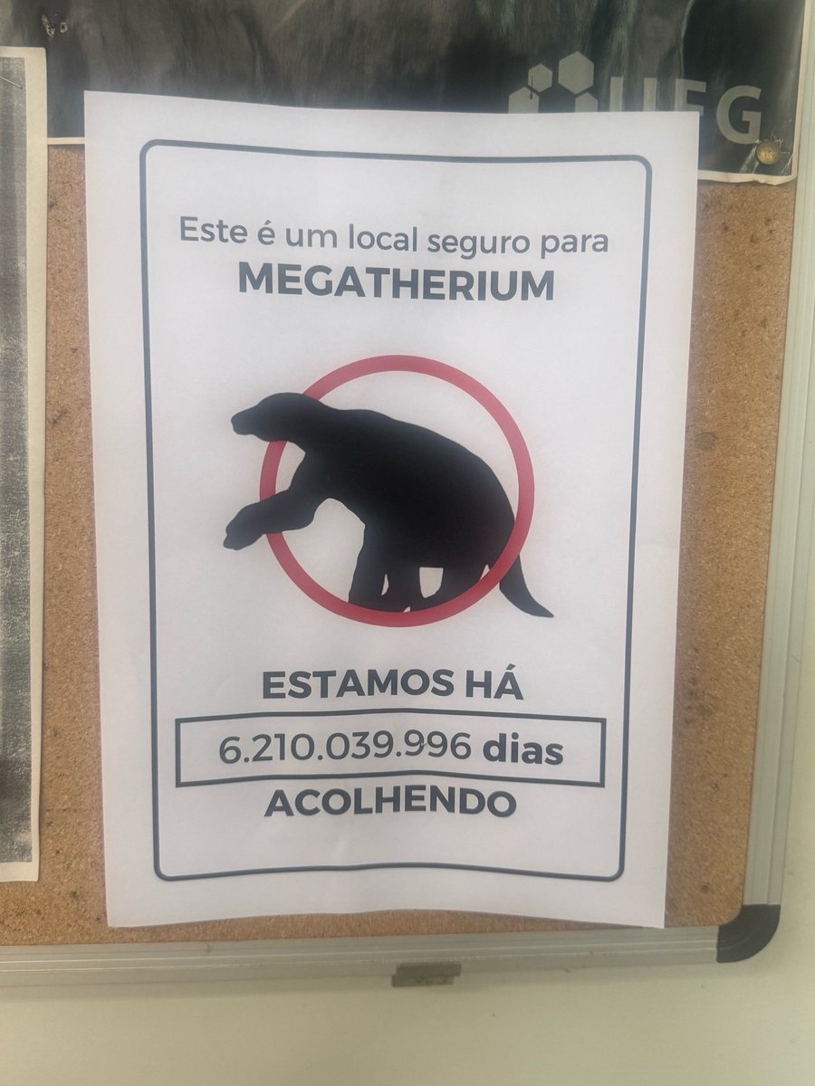 SHARPAY VAI VER O HARRY tweet media