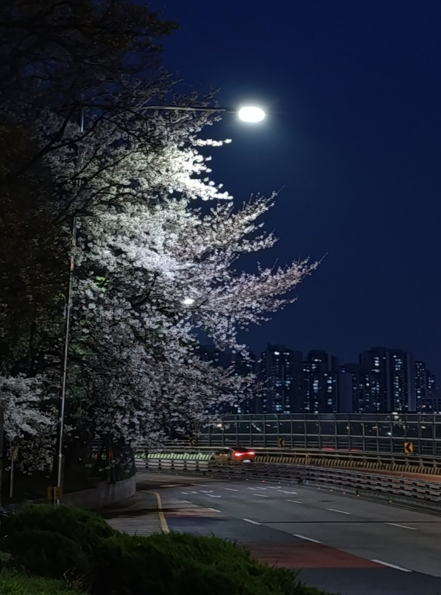 torafreshash 🍞 tweet media