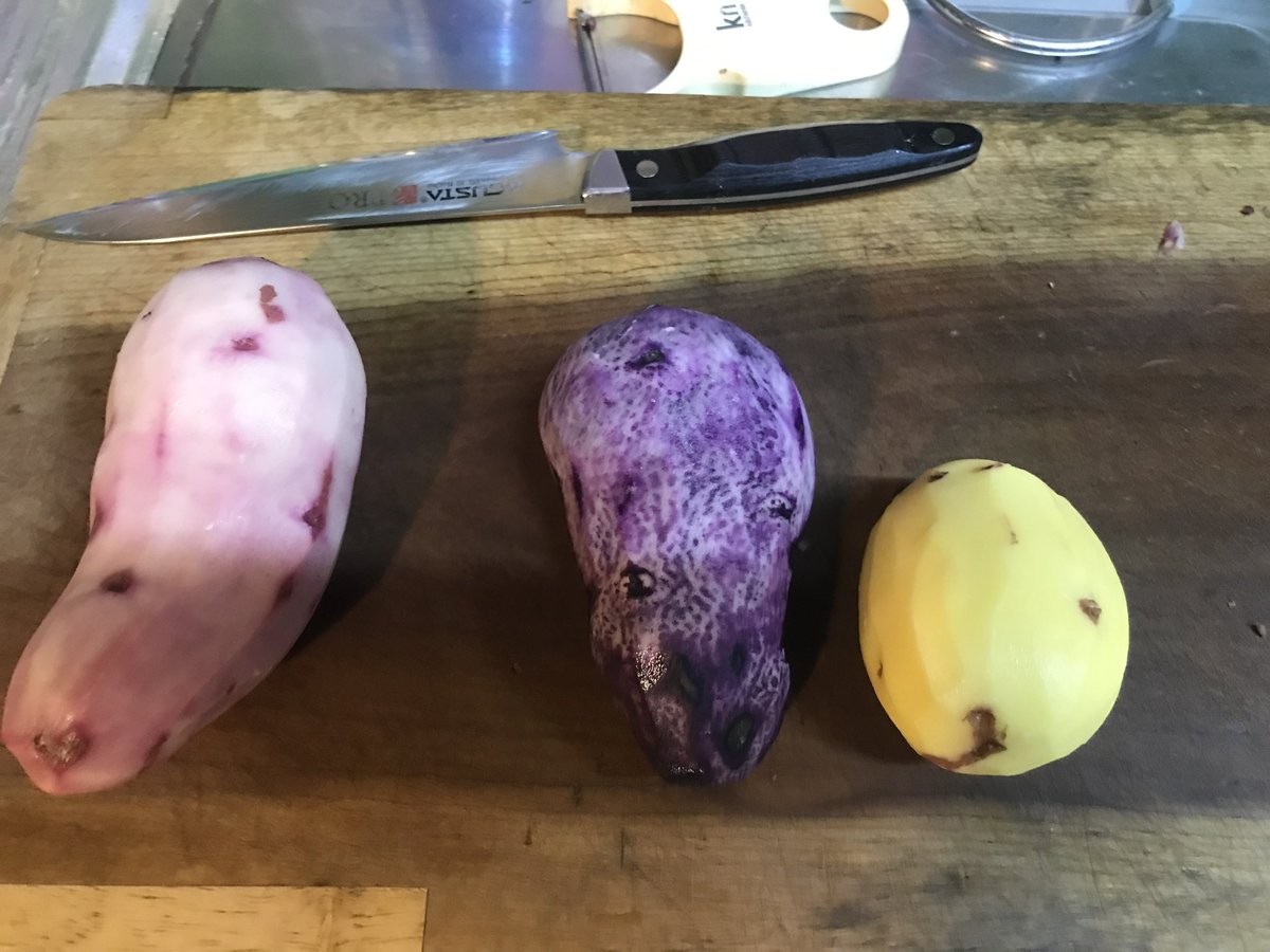 Valour 🦍 tweet media