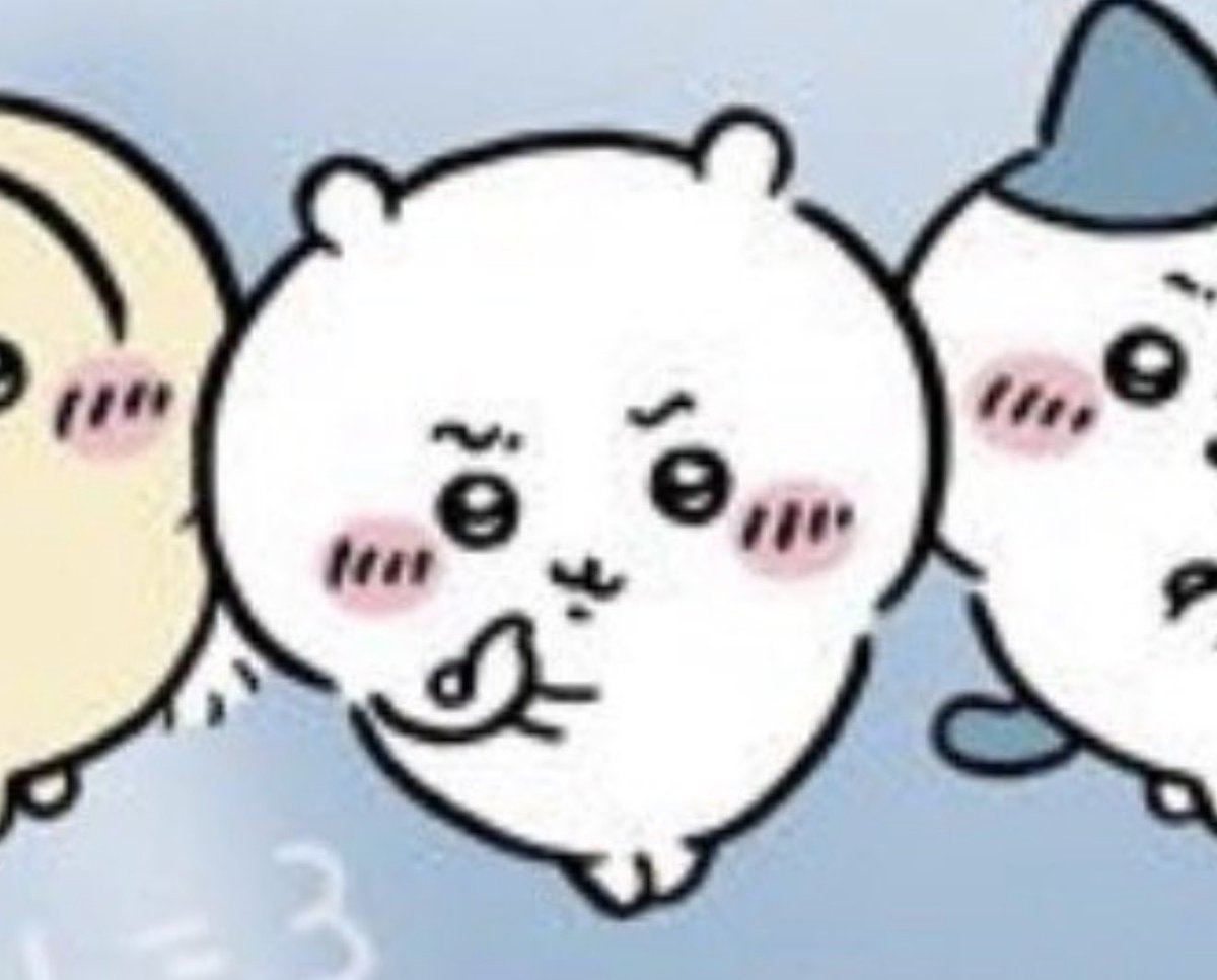 135匹のたぬきだもん。 tweet media