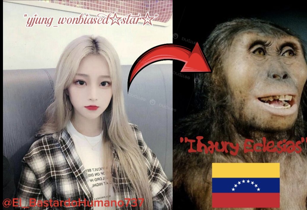 Bastardohumano's tweet photo. "Mientras mas negra sea la niña mas blanca sera la coreana de su foto"- Pitecus #metadatos #basado #nativus #seteniaquedecirysedijo #lasgrandesmentesdelmunedo #pitecus #clave https://t.co/G9n0tIBS0w