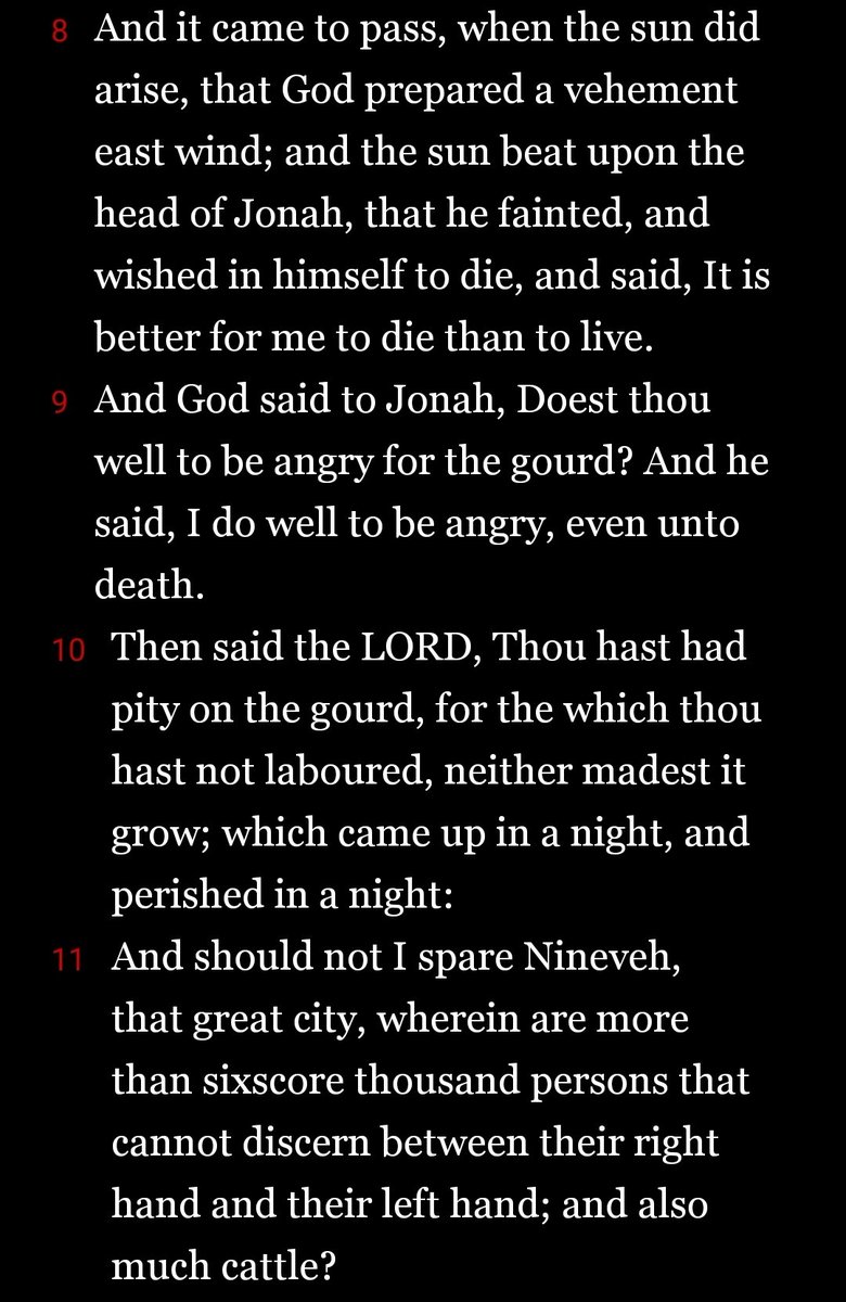 Gravantus tweet media