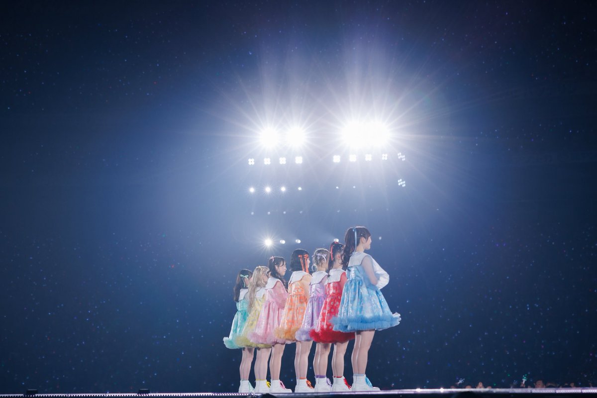 ともにゃん🐾 tweet media