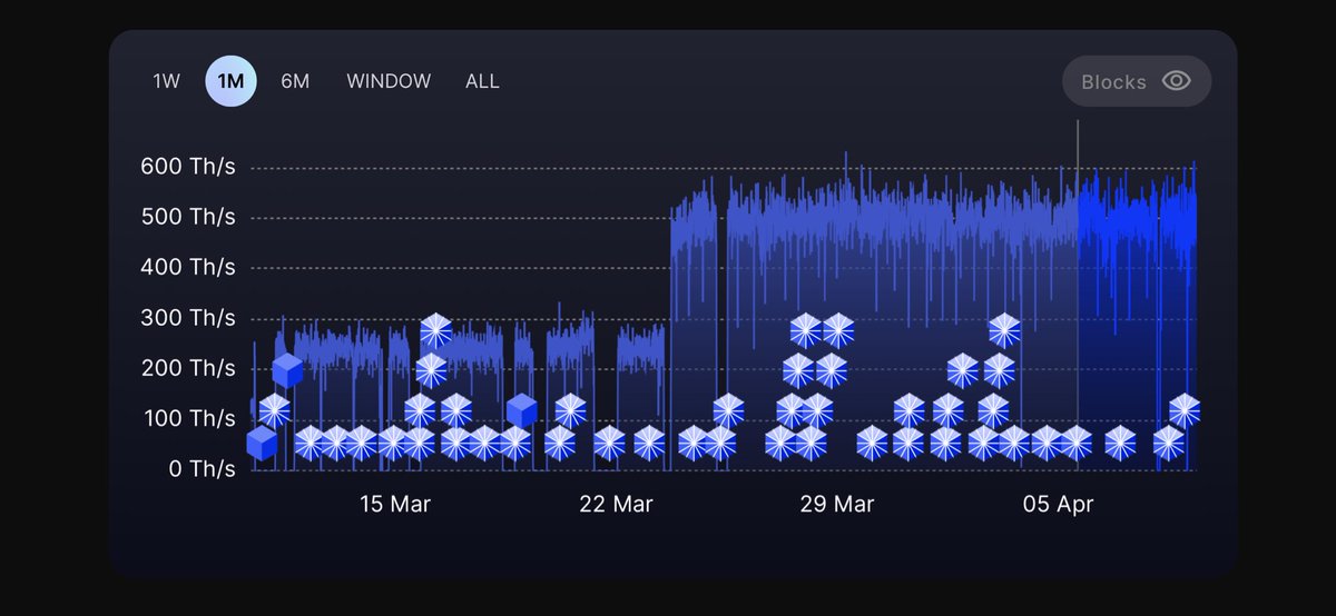 ₿itcoin Untamed tweet media