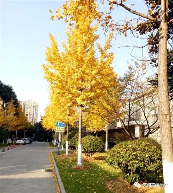 Manish Sharma tweet media