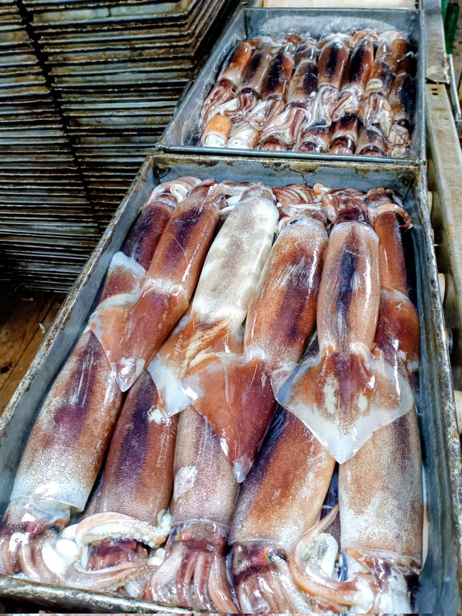 Falklands FishOps tweet media