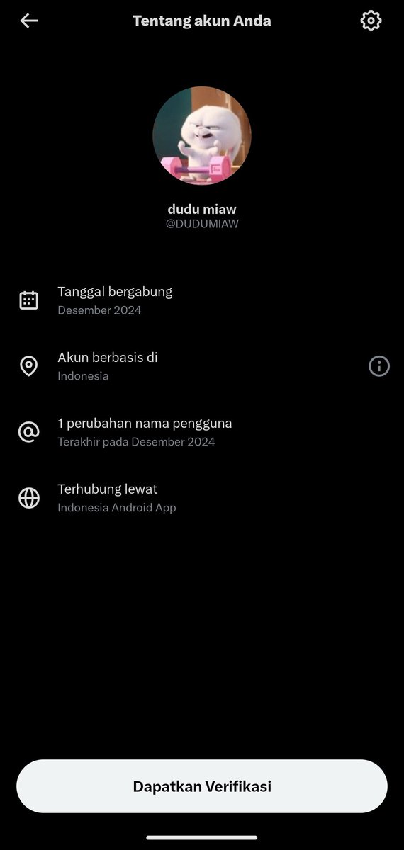 dudu miaw tweet media