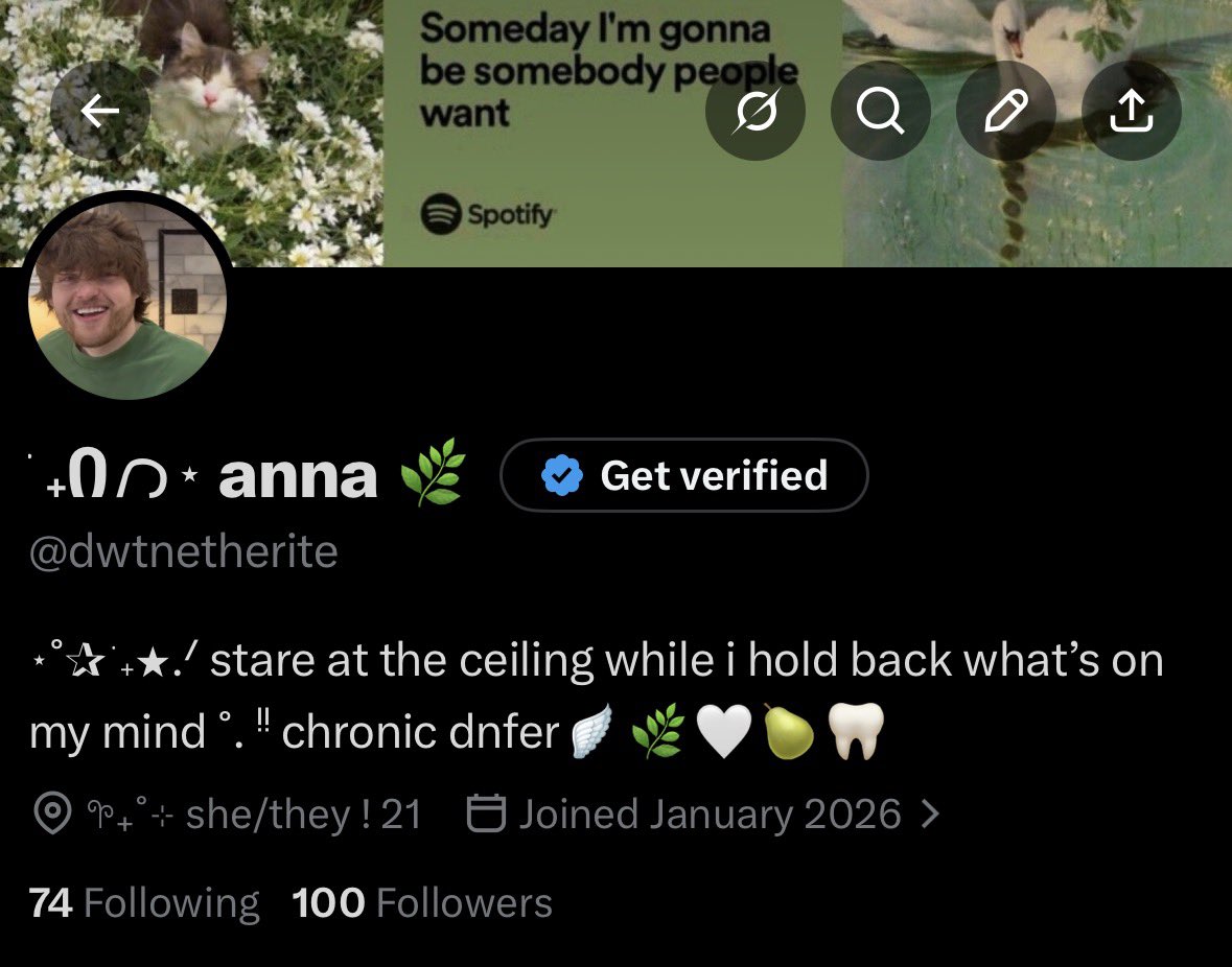 ݁ ˖Ი𐑼⋆ anna 🌿 tweet media