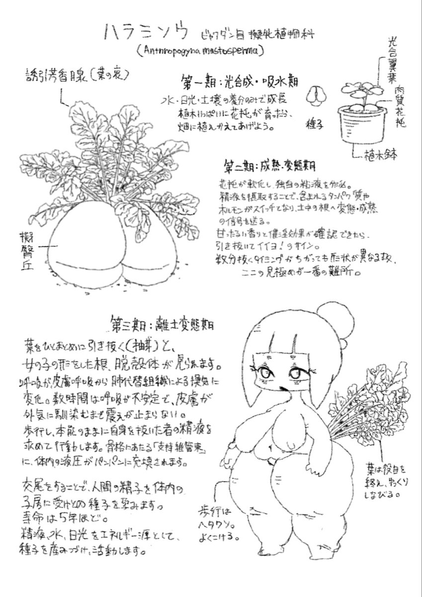 枕絵師🔞 tweet media