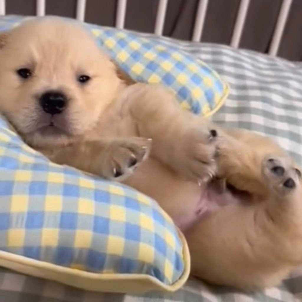 พิพึ่งตื่นนอน แหะๆ