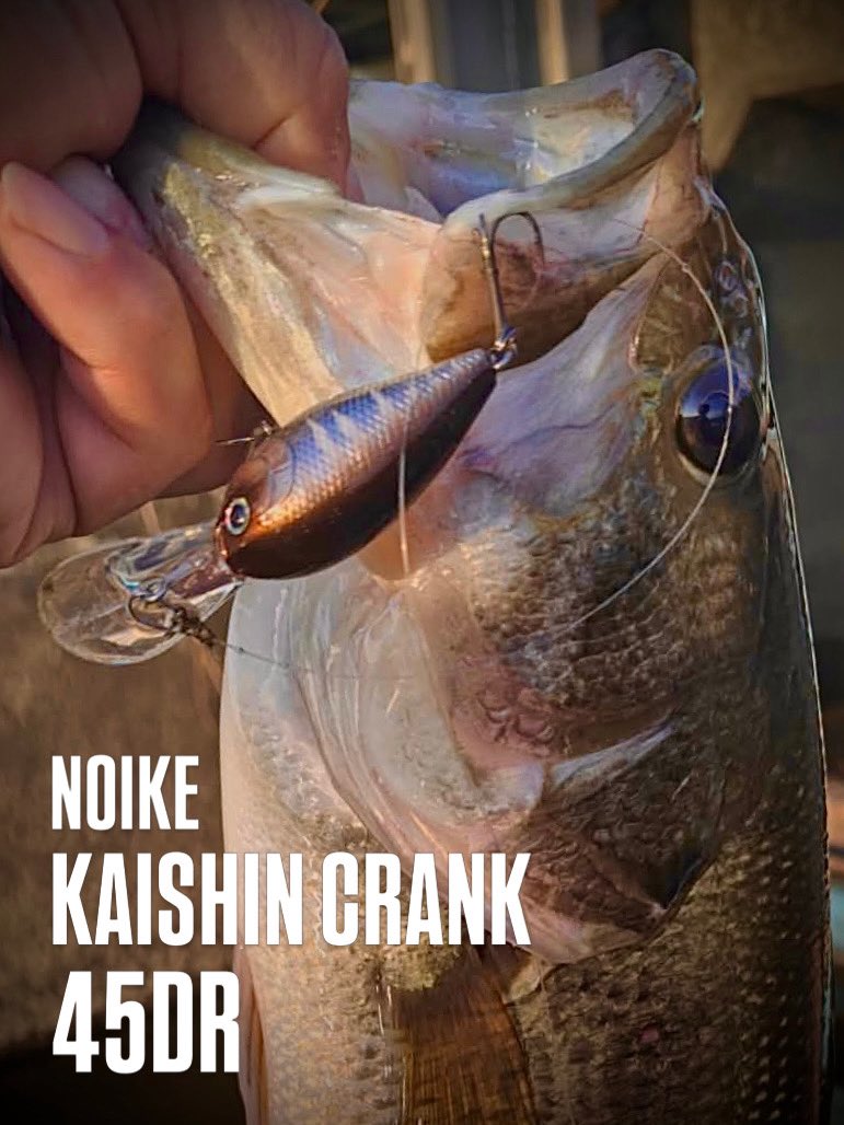 NOIKEmarketing's tweet photo. NOIKE
KAISHIN CRANK 45DR
#NOIKE
#カイシンクランク
#45DR
#NOIKEマーケティング https://t.co/gYCmw9ne0m