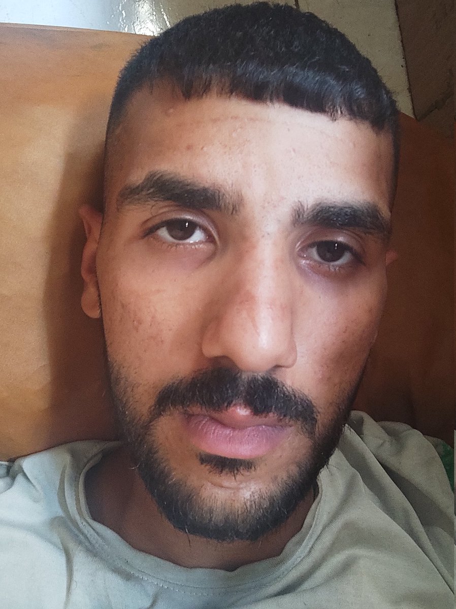 fares . sh 🇵🇸 tweet media