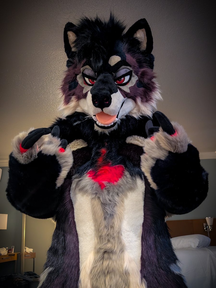 Damon Wolf tweet media