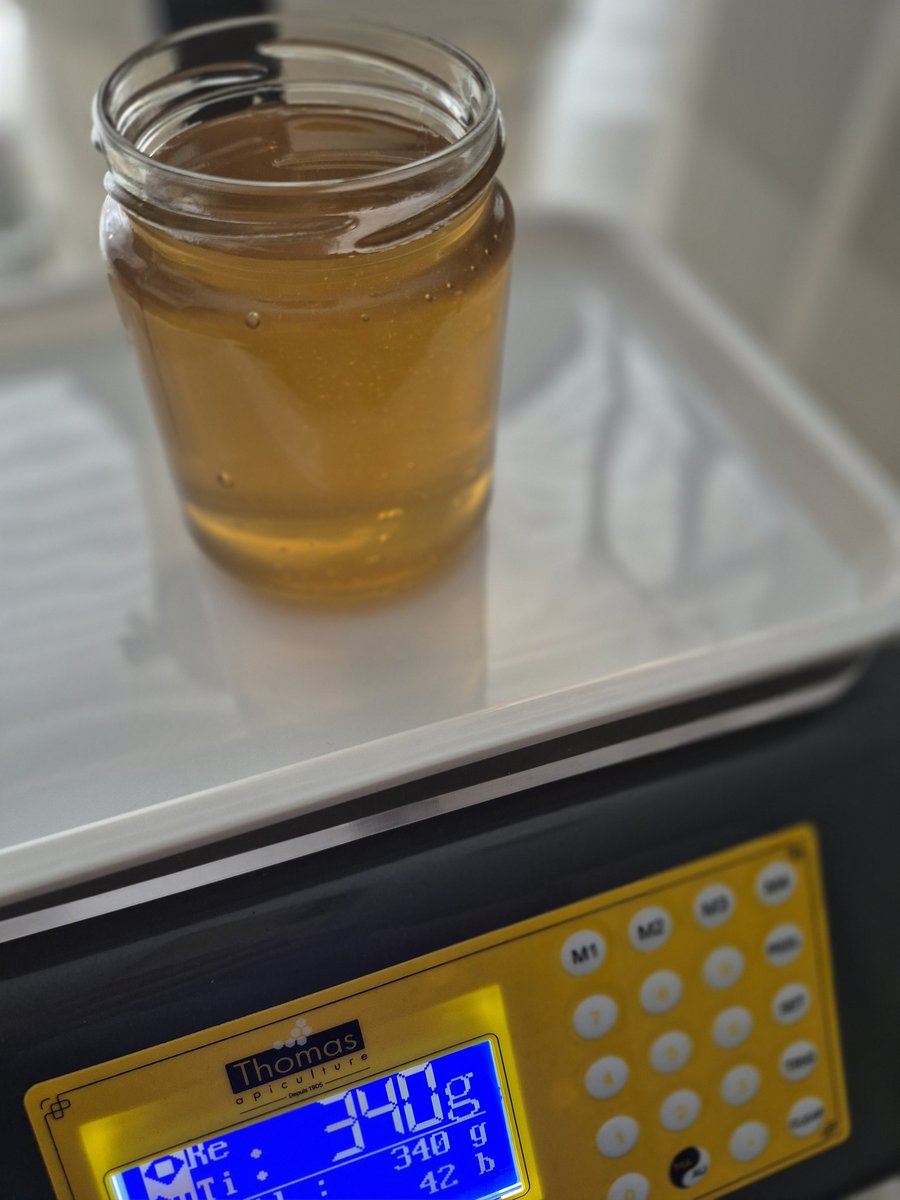 eve_bees's tweet image. More summer honey has gone into jars today. This is our best-selling honey, followed closely by our sunflower honey 🍯 Let's see how quick these fly out, as it doesn't normally hang around for long! 
gill-evehoneybees.co.uk 
#honey #beekeeping #bestseller #summer