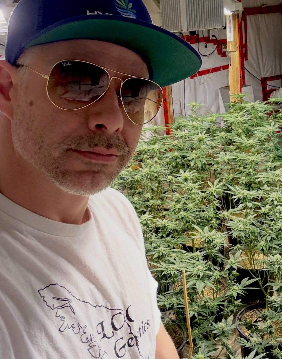 LCC Karl tweet media