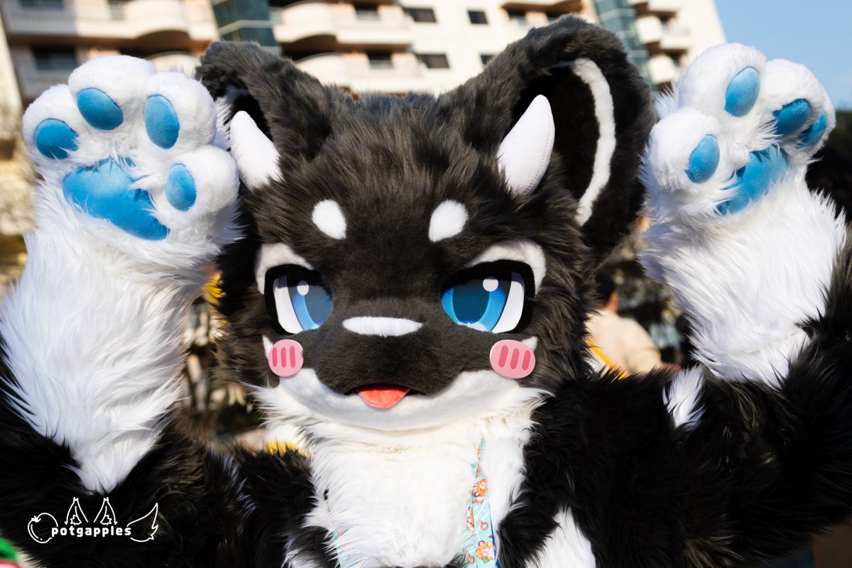 달룩 DALRUK tweet media