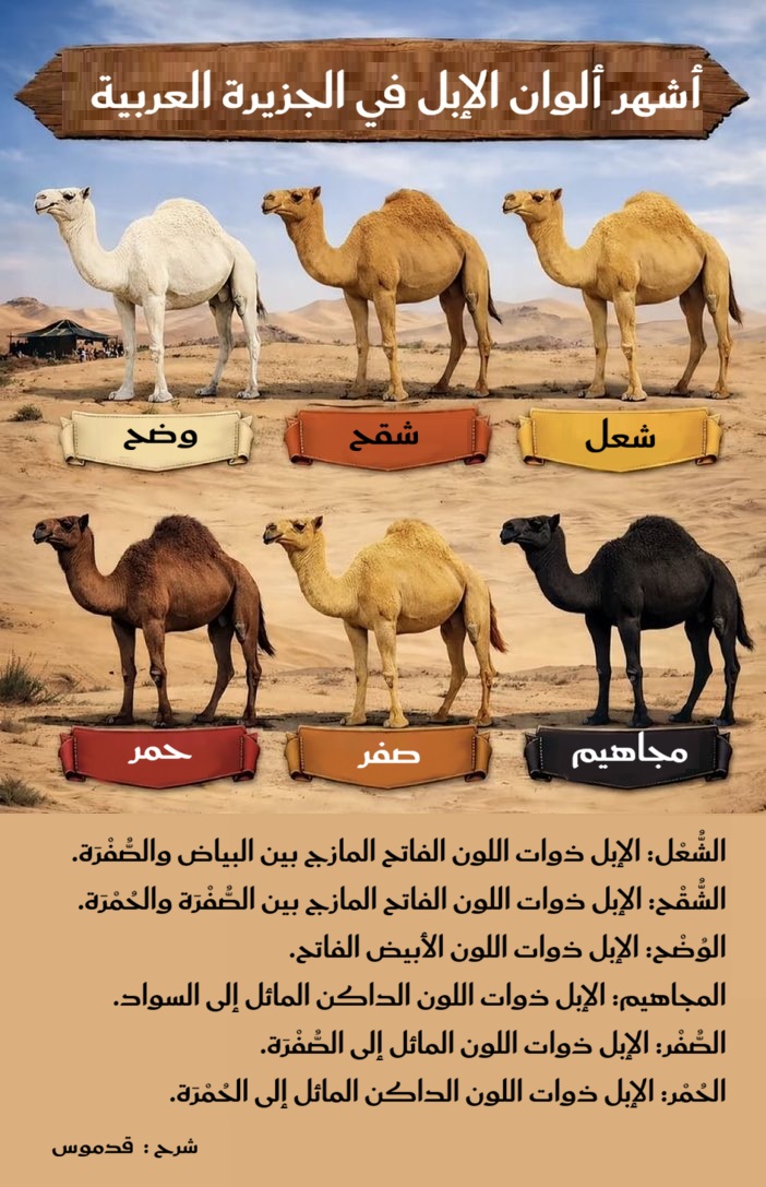 فواز اللعبون 🇸🇦 tweet media