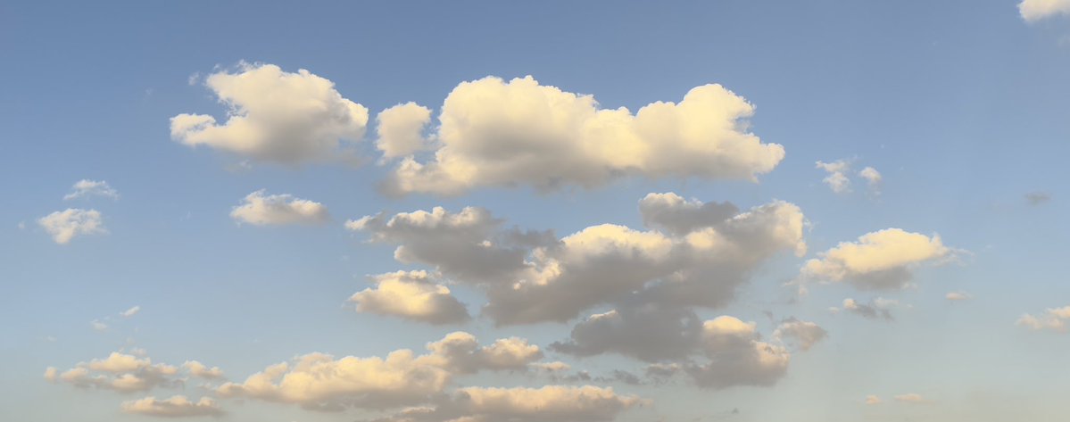 الشسمه tweet media